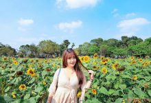 性感美女莫葵Vika 低胸洋装秀深邃事业线-德州扑克迷