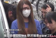 坂口杏里又出事了 迷恋牛郎前男朋友骚扰对方被抓-德州扑克迷