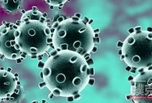 牌手们打赌今年WSOP是否会因新冠病毒爆发取消-德州扑克迷