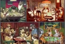 水平不上不下的你,还在犯这5个错?-德州扑克迷