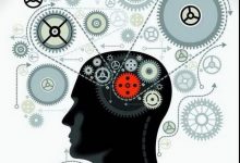 大脑决定诈唬是否成功-德州扑克迷