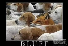 如何判断一个德州扑克牌面是否适合用来诈唬-德州扑克迷