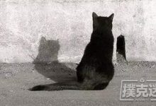 一个合格德扑玩家的自我修养-德州扑克迷