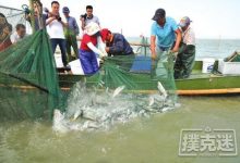 德州扑克杀鱼技巧，帮你在德扑捕到更多鱼-德州扑克迷