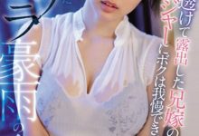 SSNI-866：若隐若现的胸罩实在是太诱人，让他顿时失去了理性，就这样衝上前硬扒下她的内裤插入！-德州扑克迷