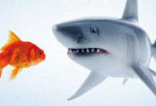 德州扑克中怎样才能让自己显得不那么鱼(二)-德州扑克迷