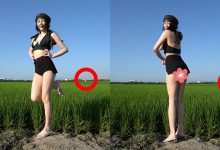 田中央更衣片流出！正妹真实身材全看光网暴动：肃然起敬-德州扑克迷