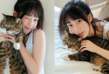 要萌貓還是甜妹？！「氧氣美少女」拋世紀難題　網友：全打包帶走！-德州扑克迷
