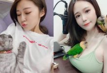 讓人羨慕的毛小孩！JKF 最美寵物主人來啦！-德州扑克迷
