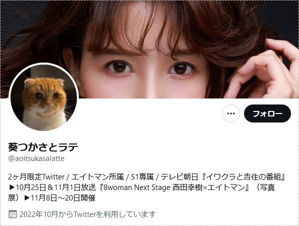 限时2个月！葵冢 (Aoi Tsukasa) twitter 复活！