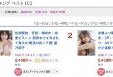 星乃莉子(Hoshino-Riko)作品stzy-006介绍及封面预览-德州扑克迷