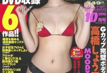 2016年上半年最賣座的愛情動作片全打包給你-德州扑克迷