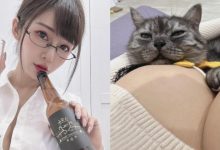 巨乳甜心「安希」成為人形肉墊　愛貓爽躺深溝快睡著！-德州扑克迷