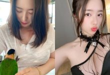 鸚鵡都忍不住討奶吃！南韓「巨乳正妹」BITNARA餐廳逗鳥，飽滿上圍慘遭攻擊！-德州扑克迷