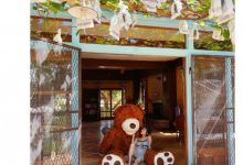 2月情报解禁！星まりあ(星麻里亚)要和大家见面了？-德州扑克迷