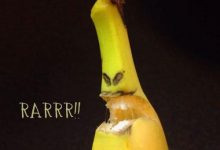 《香蕉剝皮藝術》每種掰開都含有一種美-德州扑克迷