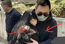 蔡天凤老公和岳母多张亲密合照流出，手放胸口亲吻，相处无边界感-德州扑克迷