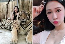 正妹「文飛飛」合照倚靠大老虎，大膽舉動讓粉絲都好佩服喔！-德州扑克迷