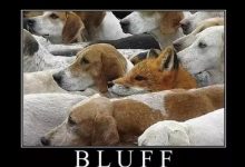 【EV扑克】教学:如何判断一个牌面是否适合用来诈唬-德州扑克迷