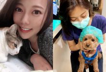 全台最正獸醫師「魏立寧」，笑容親切甜美糖度超高，網友瘋狂羨慕貓狗：想當禽獸！-德州扑克迷