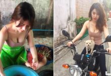 網傳「爆乳女騎士」低胸露球好犯規！這姿勢和亮點令人無法招架啊..-德州扑克迷