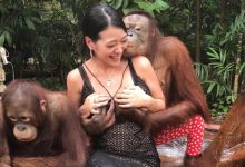 「性感姐姐」身材太好被伸手偷襲　一手無法掌握的大小太猖狂！-德州扑克迷