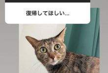 这就是松下问童子删帐号的原因？让退而不休的女优最困扰的是⋯【EV扑克下载】-德州扑克迷