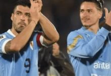 大发体育-努涅斯获赞：没人能在他面前幸免 苏牙：他是世界 ，大发助力你的致富之路！-德州扑克迷