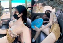 「巨乳妹」野生動物園餵長頸鹿被襲擊　趕緊趴下保護雙峰！-德州扑克迷