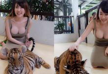 母愛噴發的概念！「巨乳妹子」彎腰餵食　兩顆奶球差點一起掉出來！-德州扑克迷