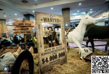 【EV扑克】中国军团雄起 廉想、赵刚等13人闯入Merit Poker主赛Day3-德州扑克迷