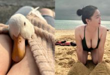 「媚眼業務」凶器藏鴨，銷售商品被內行人勸：「本藥含大量乳製品」-德州扑克迷