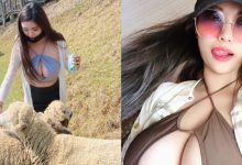 叫波波還真的有大波波！清境農場驚見妹子爆乳餵羊-德州扑克迷