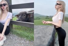 擎天岡出現「巨乳細腰正妹」！嵐芯語超誇張二次元身材跟牛牛合照！-德州扑克迷