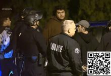 【EV扑克】HCL常客Mikki Mase因放烟花被洛杉矶警方拘留-德州扑克迷