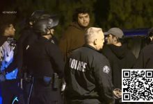 【EV扑克】“赌徒”Mikki被警方逮捕询问，这什么情况？-德州扑克迷