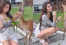 動物農場驚見「爆乳美腿妹」甜餵小鹿斑比，超療癒畫面讓人瘋狂心動！-德州扑克迷
