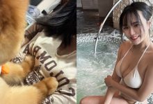 放尊重一點！巨乳寵物美容師被顧客襲胸　毫不客氣直接壓扁-德州扑克迷