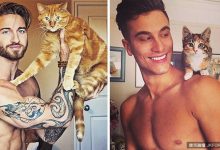 看完這些在 instagram 上超犯規的「高顏值型男與超萌喵星人」合照後,只能說這是世界上最完美的組合!-德州扑克迷