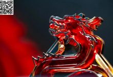 【EV扑克】祝贺红龙超越前程，小鱼战队锦鲤出动金枪破空，进军龙门！-德州扑克迷