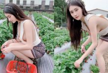 穿這樣採草莓可以？性感小妖精「Queenta許伊兒」沒穿內衣就出門-德州扑克迷