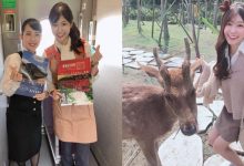 戀愛般的旅程！高鐵正妹乘務員「曼曼」迷人燦笑讓人秒融化-德州扑克迷