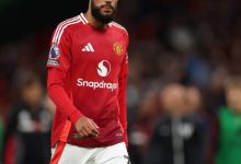 大发体育-最佳引援！马兹拉维成曼联关键先生，大发助力你的致富之路！-德州扑克迷