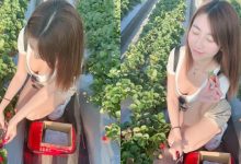 關西草莓園「隱乳系清純妹」低頭採草莓！「上帝視角」把美景盡收眼底！-德州扑克迷