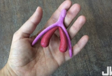 女性興奮的泉源不僅來自「神奇小肉芽」！法國小學教材……3D列印技術解開女體的奧妙-德州扑克迷
