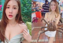 真材實料!「Bivi華華」逛市場被帝王蟹嚇歪,網友猛流口水:想吃奶油螃蟹了!-德州扑克迷