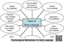 【EV扑克】《卡罗的马脚大全》精华内容总结，一篇文章读懂一本书！-德州扑克迷