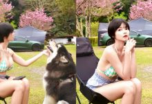 鹿林道見性感女孩「A栗」，「露營穿比基尼」逗愛犬畫面超療癒-德州扑克迷