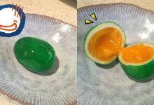 惡魔食譜!教你如何做出受詛咒的水煮蛋…-德州扑克迷