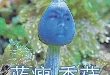 花錢玩夾娃娃機卻夾到藍瘦香菇～真是讓人哭笑不得（哪招啊-德州扑克迷